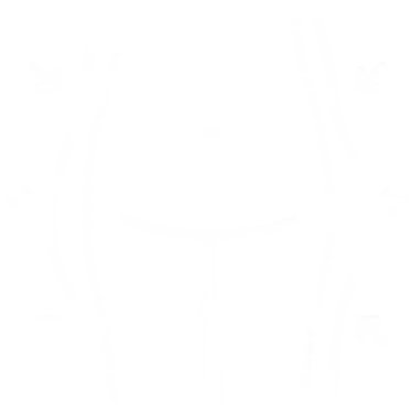 VASER-assisitierte-Liposuktion